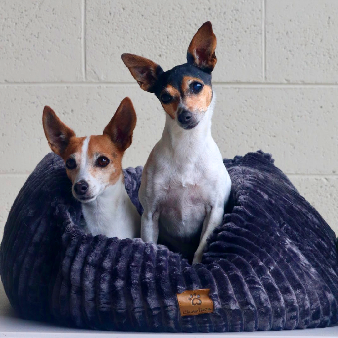 Ascher Plush Corduroy Square Pet Nest Bed - Dark Grey - Image 2