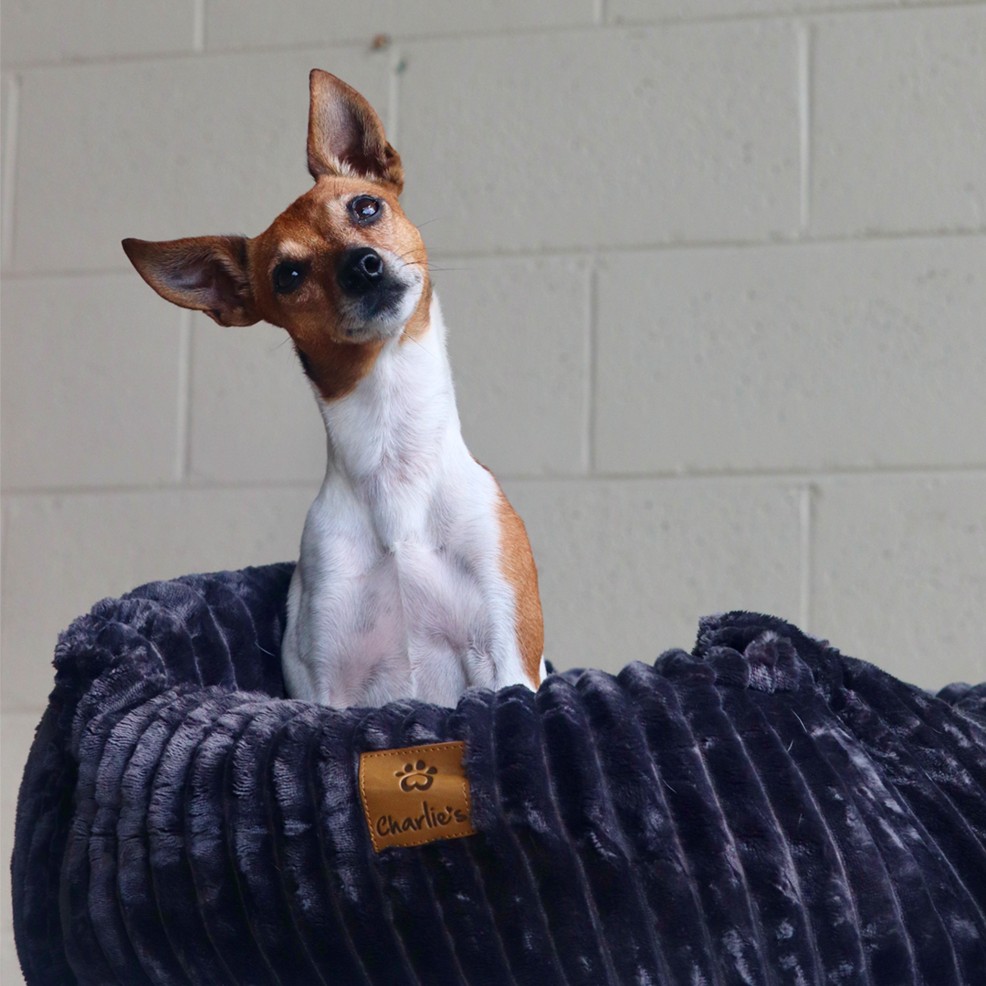 Ascher Plush Corduroy Square Pet Nest Bed - Dark Grey - Image 4