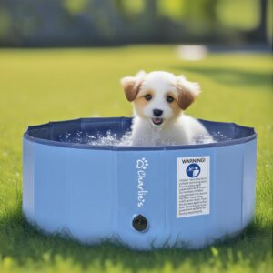 Splash Society Portable Foldable Dog Pool