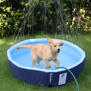 Splash Society Sprinkler Dog Pool